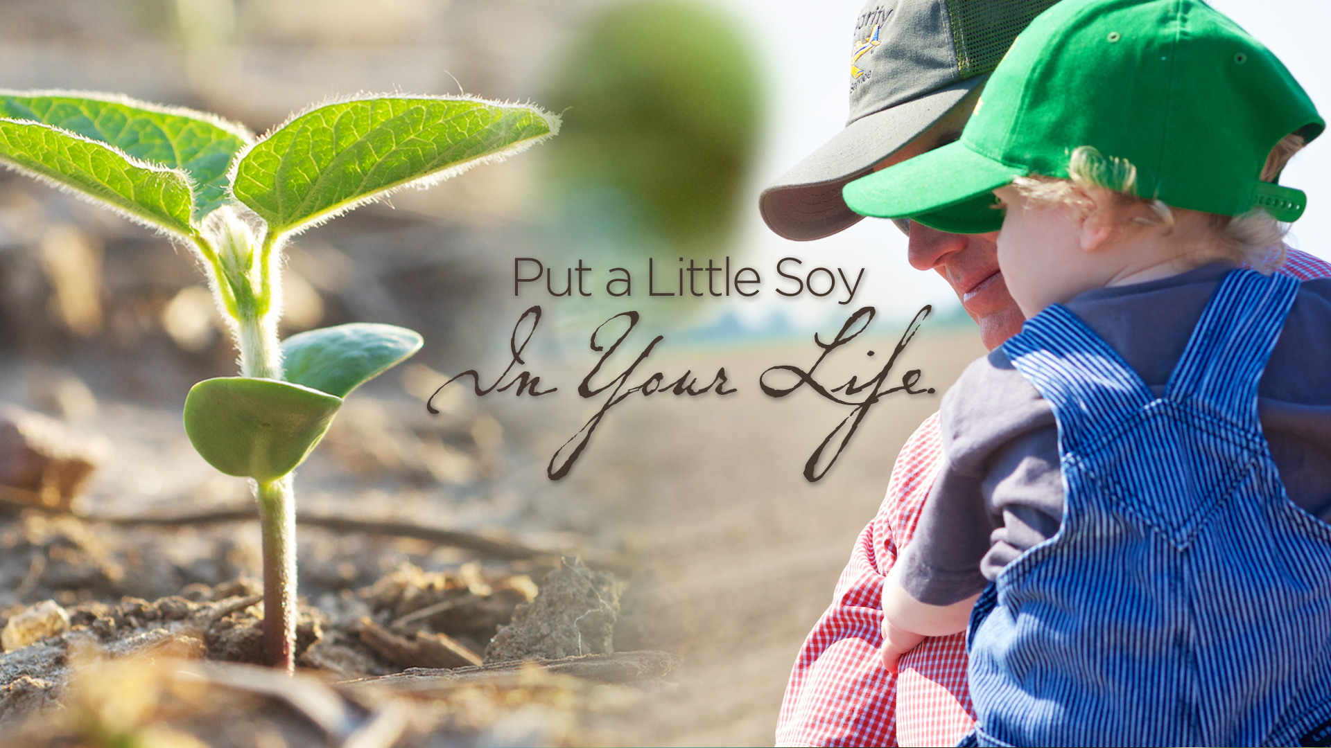 Stewardship of the Land - Pt. 2