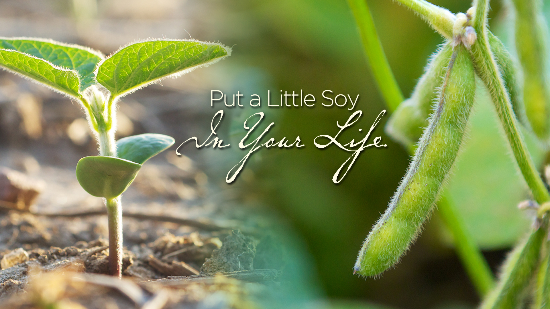 Connected Farmer - Pt. 3