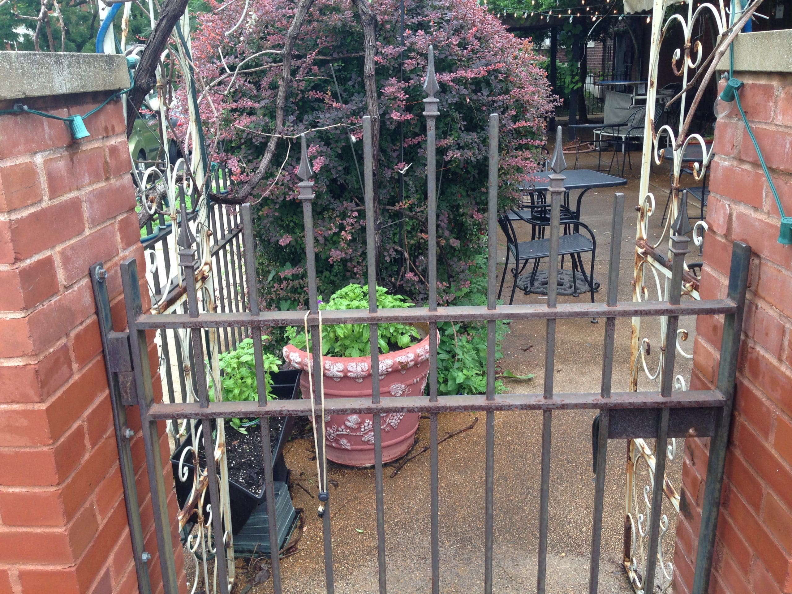 A peek into the sidewalk caf� attached to Caf� Natasha