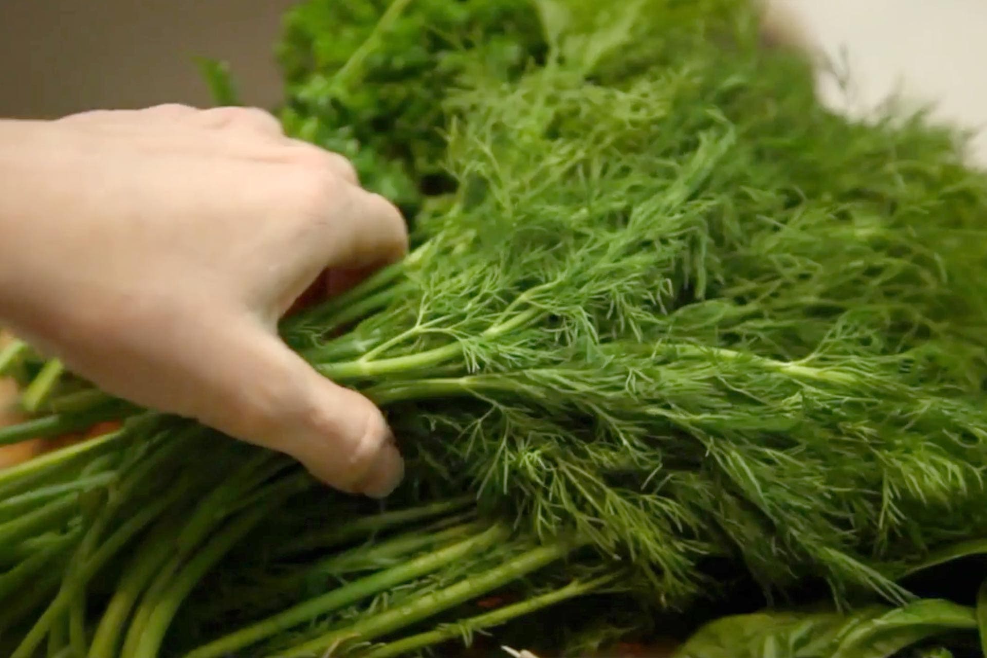 Chop and Store Fresh Herbs Video