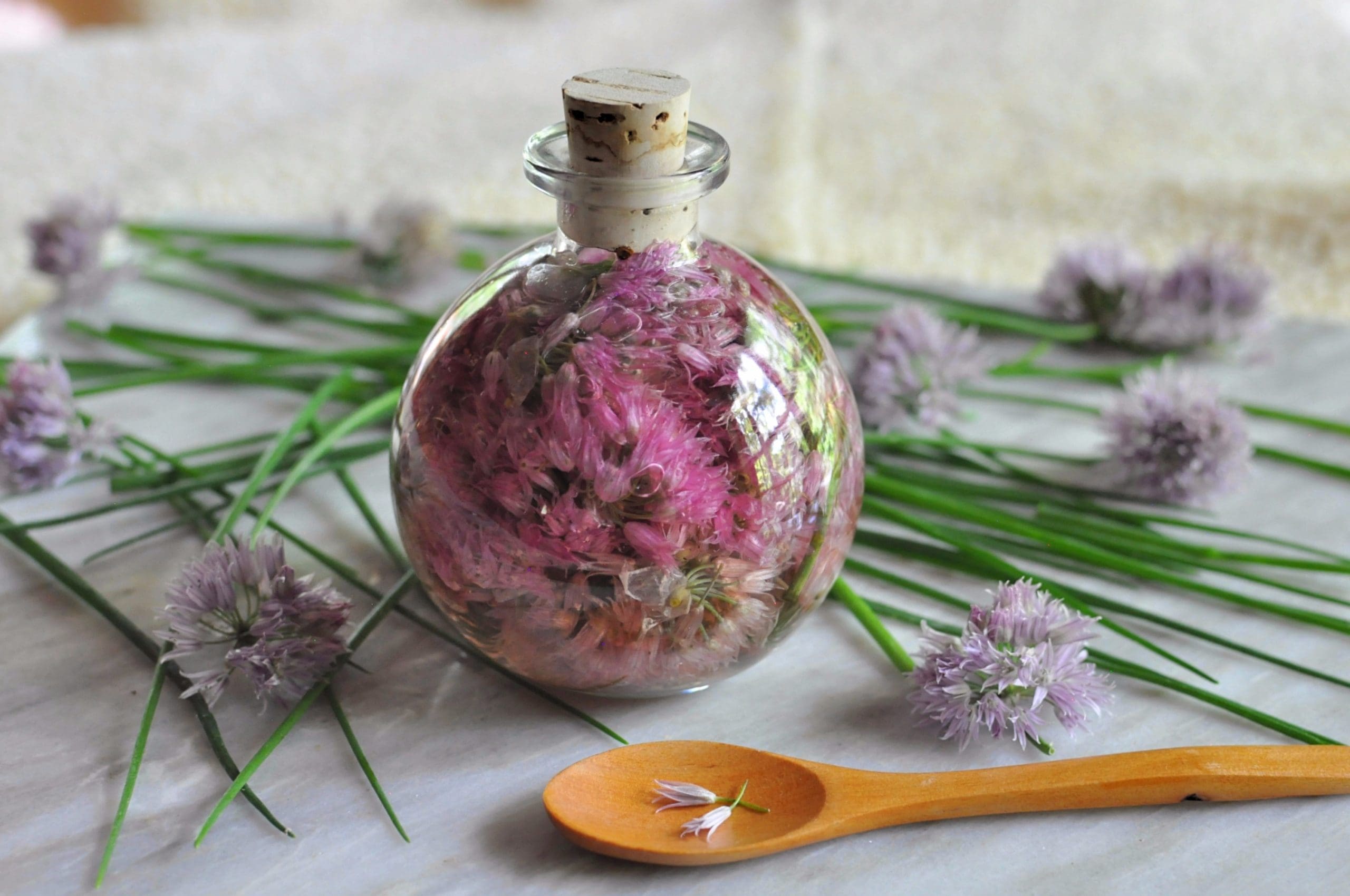I have always loved the taste, smell and even the look of chives, especially when blooming with those passionate, purple seed heads. What is surprising is that chives also offer important health benefits, which include boosting heart health, improving the strength of our bones, protecting us against a wide range of cancers, easing digestion, boosting vision and boosting our immune system, too!