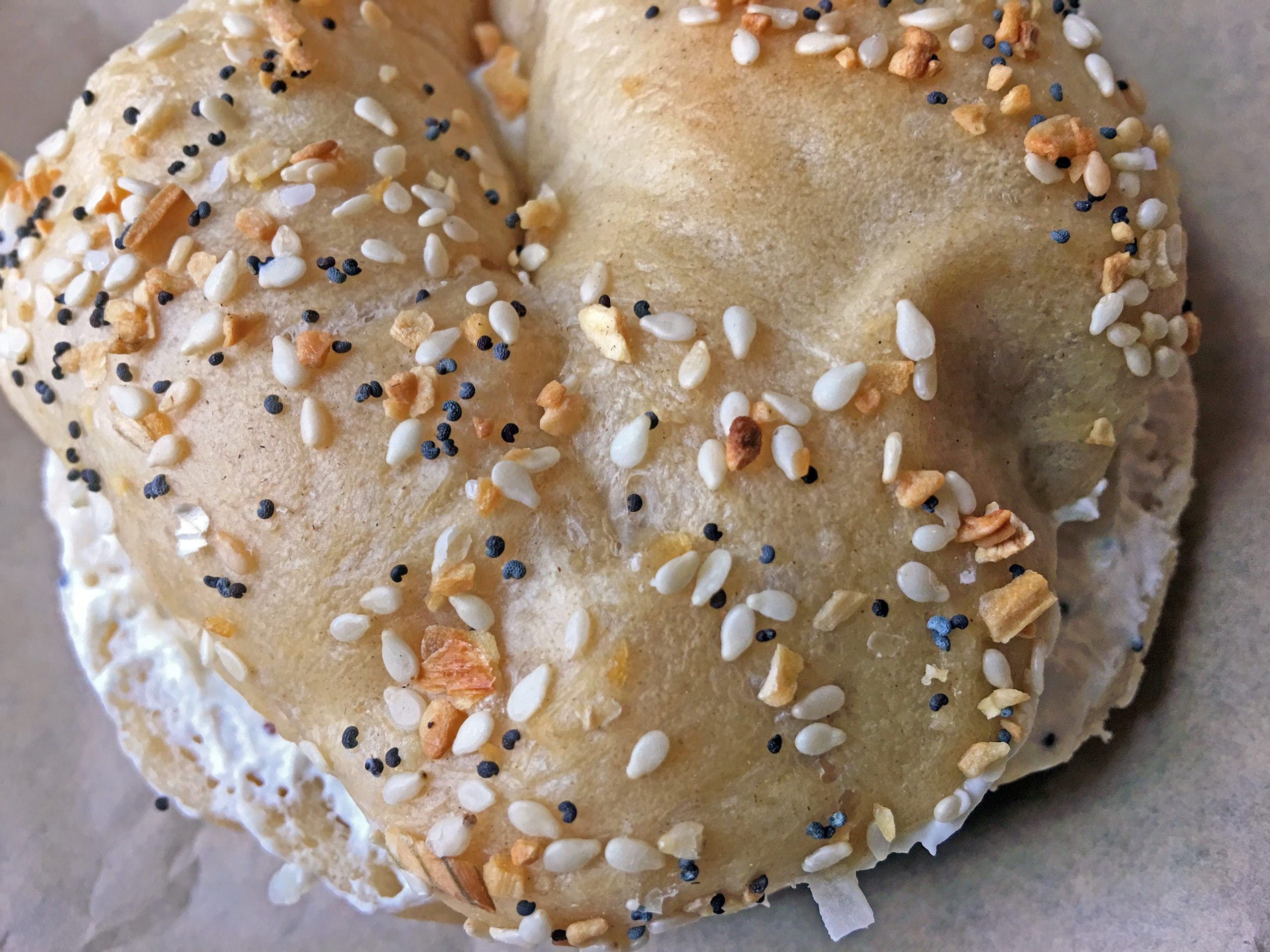 Everything Bagel//Photo by Kay Logsdon