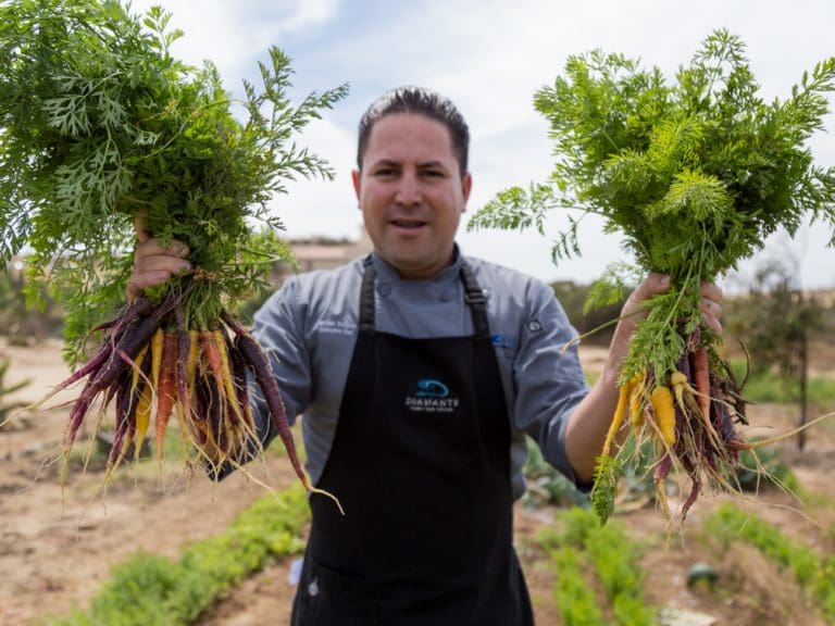 Chef Izzy, as he's known at the resort, tends to his own organic garden, incorporating the delights of his harvest into the dishes he prepares. He also uses sustainable seafood in his restaurants from the Baja waters. 