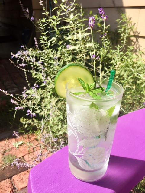 The summer patio sipper is made with gin, lime juice, blackberry cucumber lacroix and elderflower liquor, then garnished with fresh cucumber, mint and lavender.