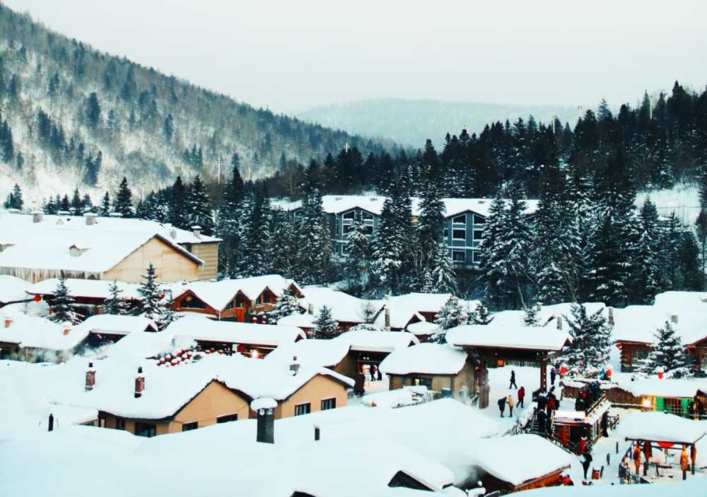 Christmas Cake Murder offers a creative twist that allows the author to go back in time to give her readers a “back story” without altering anything essential about the characters. If anything, it give us more depth and appreciation for Hannah, her mother, her sisters, and the other residents of Lake Eden, Minnesota.
