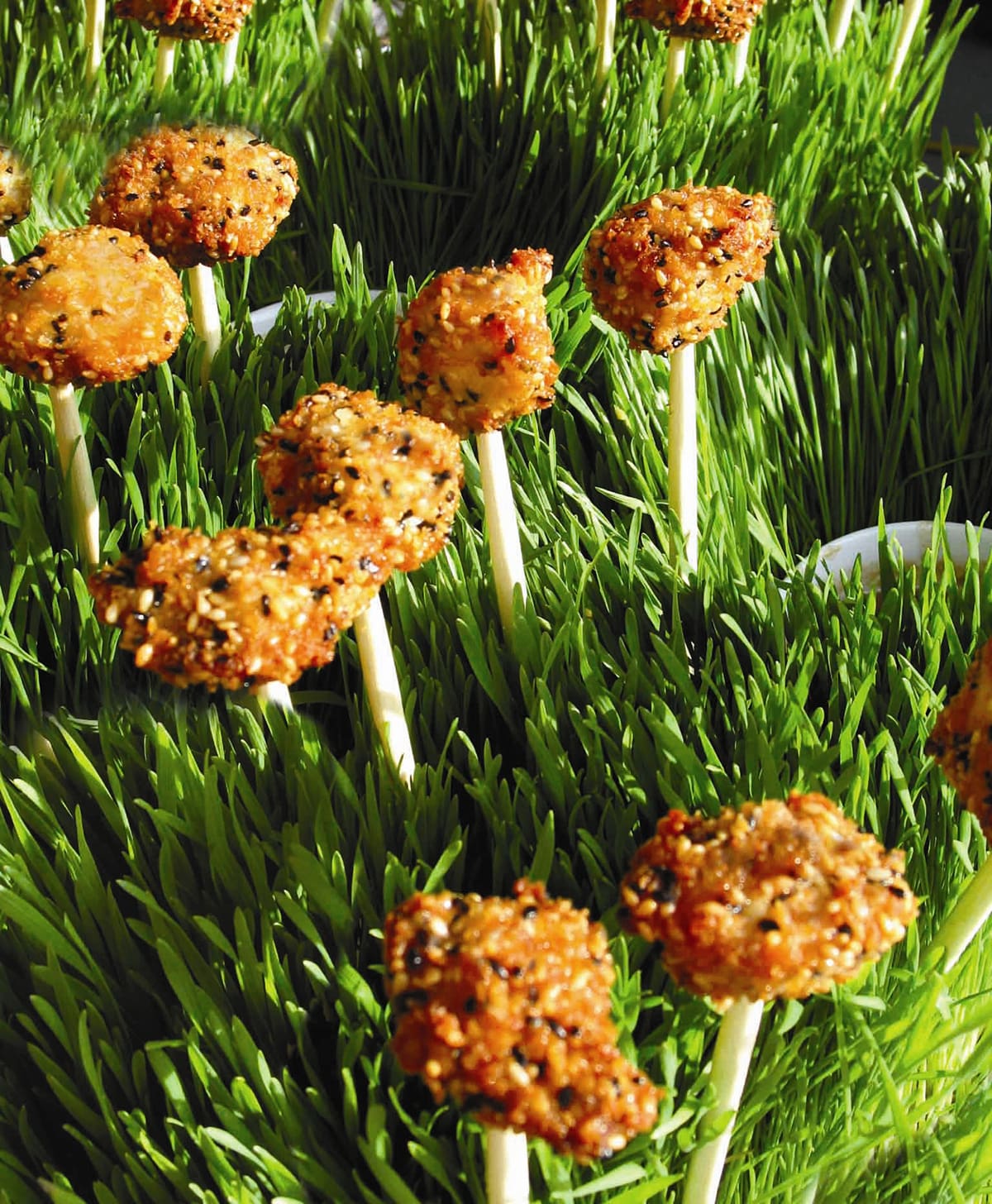 This recipe for Sesame Chicken Lollipops With Miso Dipping Sauce is easy to make, packs in a flavorful punch, and creates a very on-trend, handheld protein in a unique presentation with a delicious dipping sauce as well.