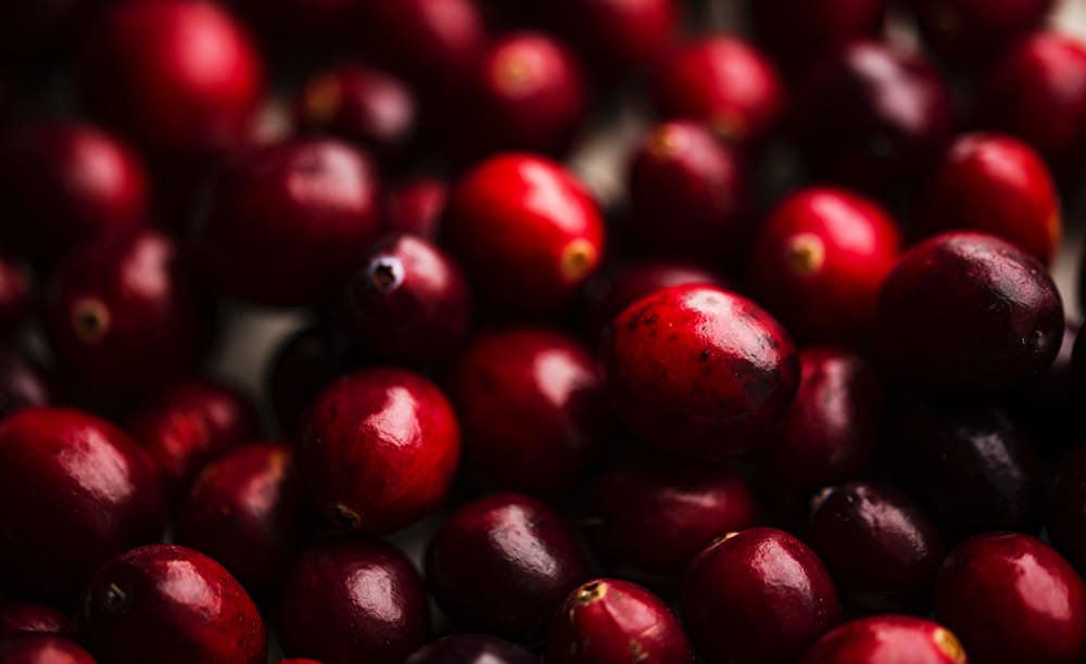 Growing wildly and abundantly from the Pacific northwest to the Atlantic - as well as up into Canada – cranberries were not only prolific but also prized by the native Americans for many reasons and, thanks to hundreds of studies, modern research has confirmed that yes, cranberries are indeed incredible and possess many reasons to prize them – not just as a holiday fruit!