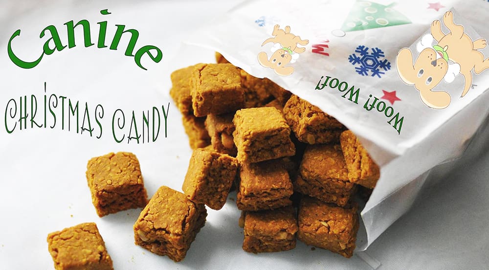 With the holiday filled with all kinds of treats, there no need for fido to feel left out with these Canine Christmas Treats.