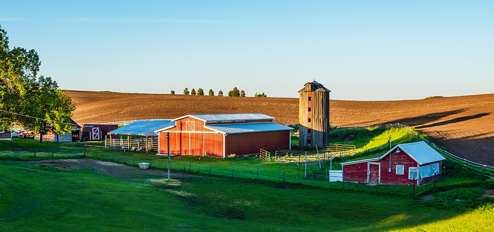 Call it traceability, or food security, but the term you really need to remember is “blockchain.” It’s the primary technology used to guarantee food authenticity and traceability.