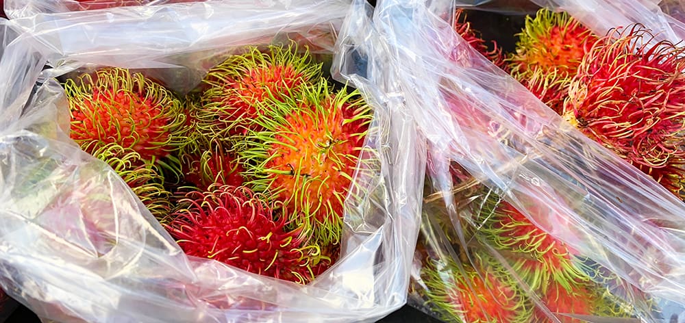 We tasted our way through the market, checking out the wave beans (like green beans, but with wavy edges), the rambutan, the passion fruit, the starfruit, and the wellness stands where you could get tea, turmeric, and other functional ingredients.