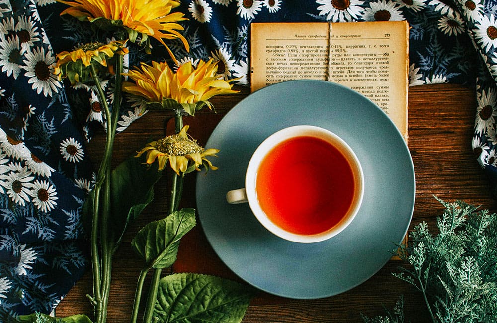 Capitalizing on health trends, kombucha is more popular than ever. It’s a refreshing drink made by fermenting sweet tea. The magic of fermentation is what transforms sweet tea into a tangy, fizzy beverage with many health benefits.