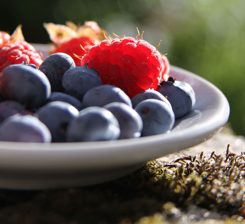 A plate of fresh raspberries and blueberries, two superfoods included in the Diabetes Superfoods Cookbook.