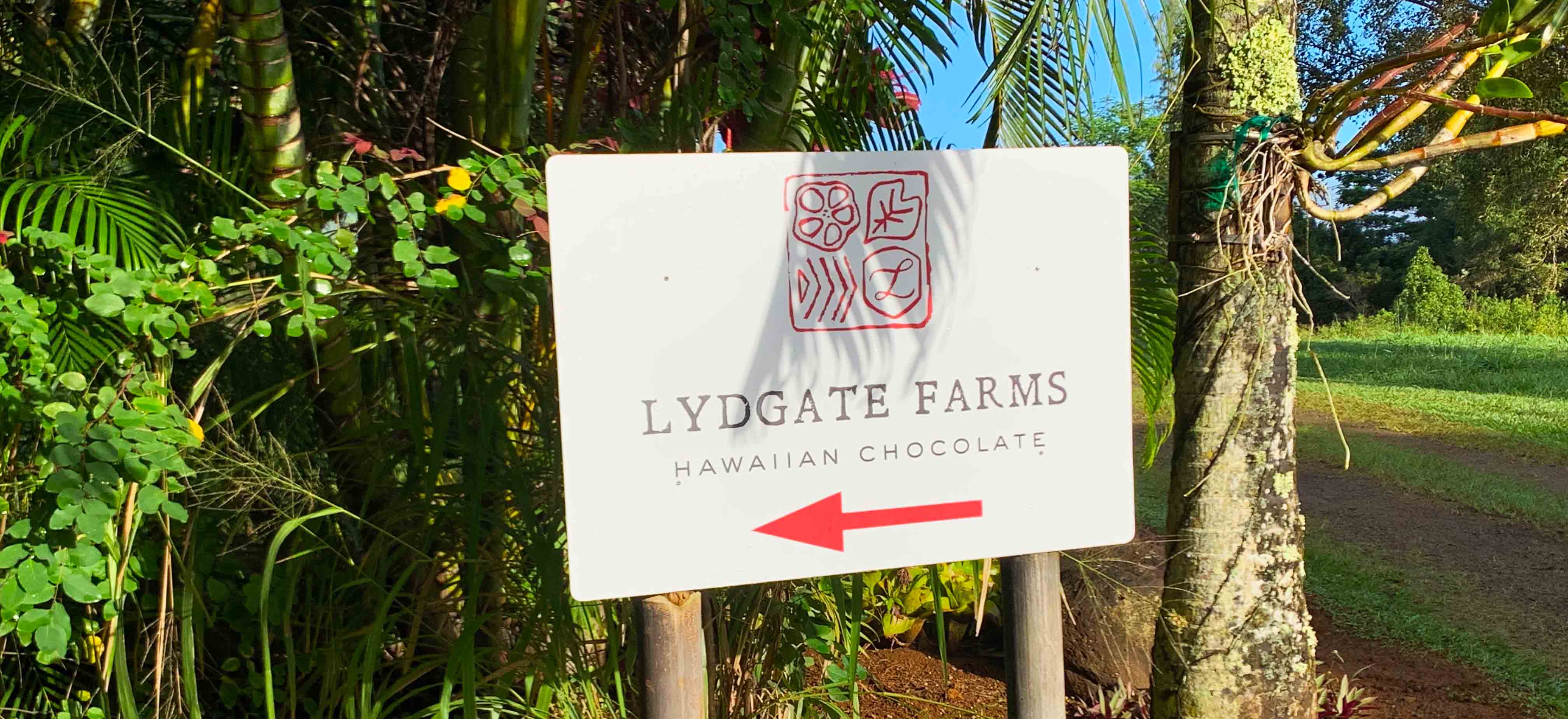 So much chocolate. And fruit. And vanilla. And honey. Lydgate Farms in Kaua’i is truly the place to taste it all.